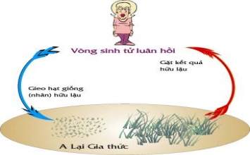 Nhân quả